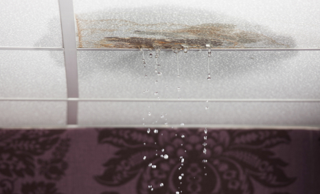 Plumber Endeavour Hills